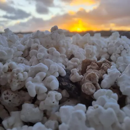 Warung Vendégház *