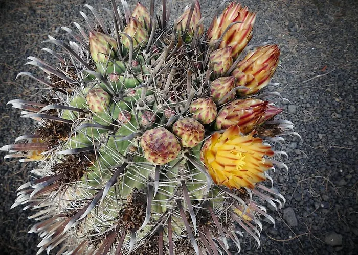 Warung Vendégház *