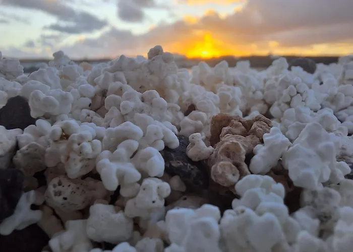 Warung Vendégház *