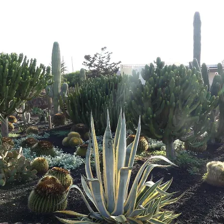 ゲストハウス Warung ラハレス